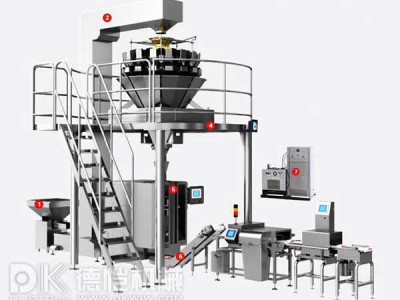 自動包裝機-稱重包裝系統(tǒng)